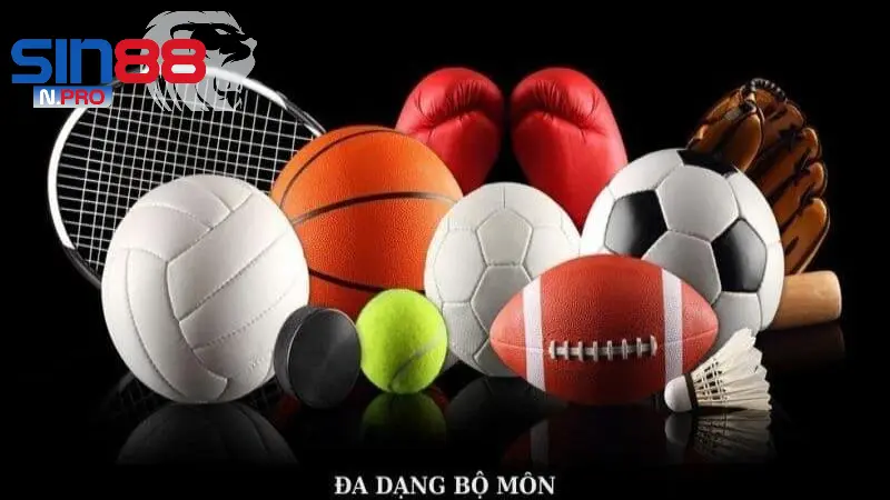 Các bộ môn Thể thao Sin88 nổi bật hiện nay