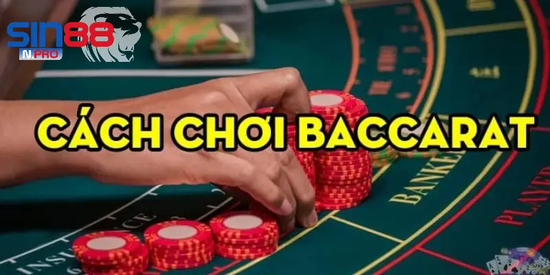 Bật mí cách chơi Baccarat hiệu quả từ cao thủ