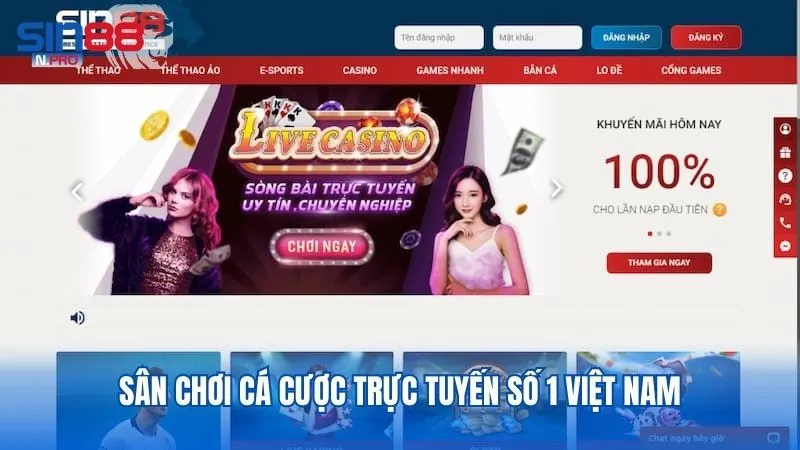 Tham gia sân chơi cá cược trực tuyến số 1 Việt Nam