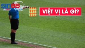 viet-vi-la-gi